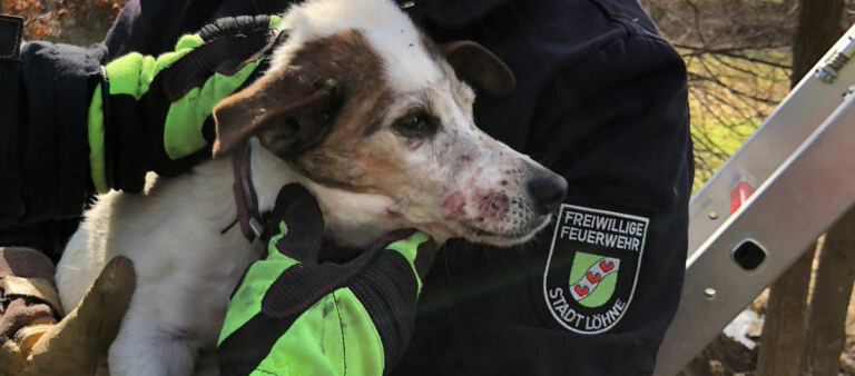 Tierrettungseinsatz Gohfeld