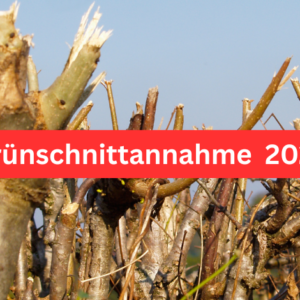 Grünschnittannahme 2025